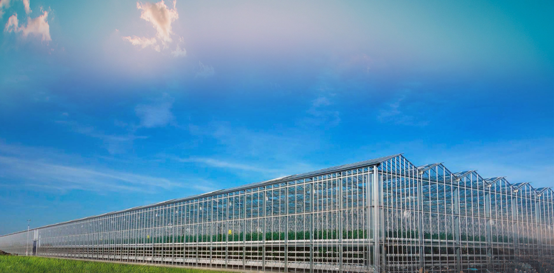 山東諾億農業發展有限公司